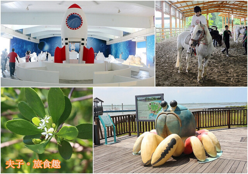 龍海號生態之旅 X 七股鹽山鹽宇宙 X 馬術體驗