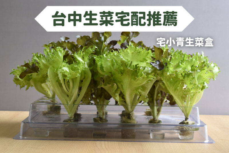 台中生菜宅配到家，宅小青生菜盒超新鮮！高CP值台中生菜宅配推薦