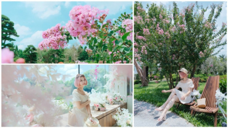 彰化景點|2022最浪漫景點！成美文化園紫薇花季，情侶入園有優惠喔！