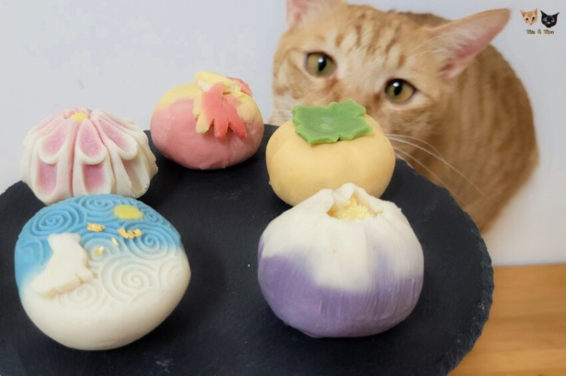 [喵の禮盒]貓咪狗狗吃的和菓子?! 和寵物和菓子｜一菓寵心｜2022中秋【秋季生菓子】禮盒 