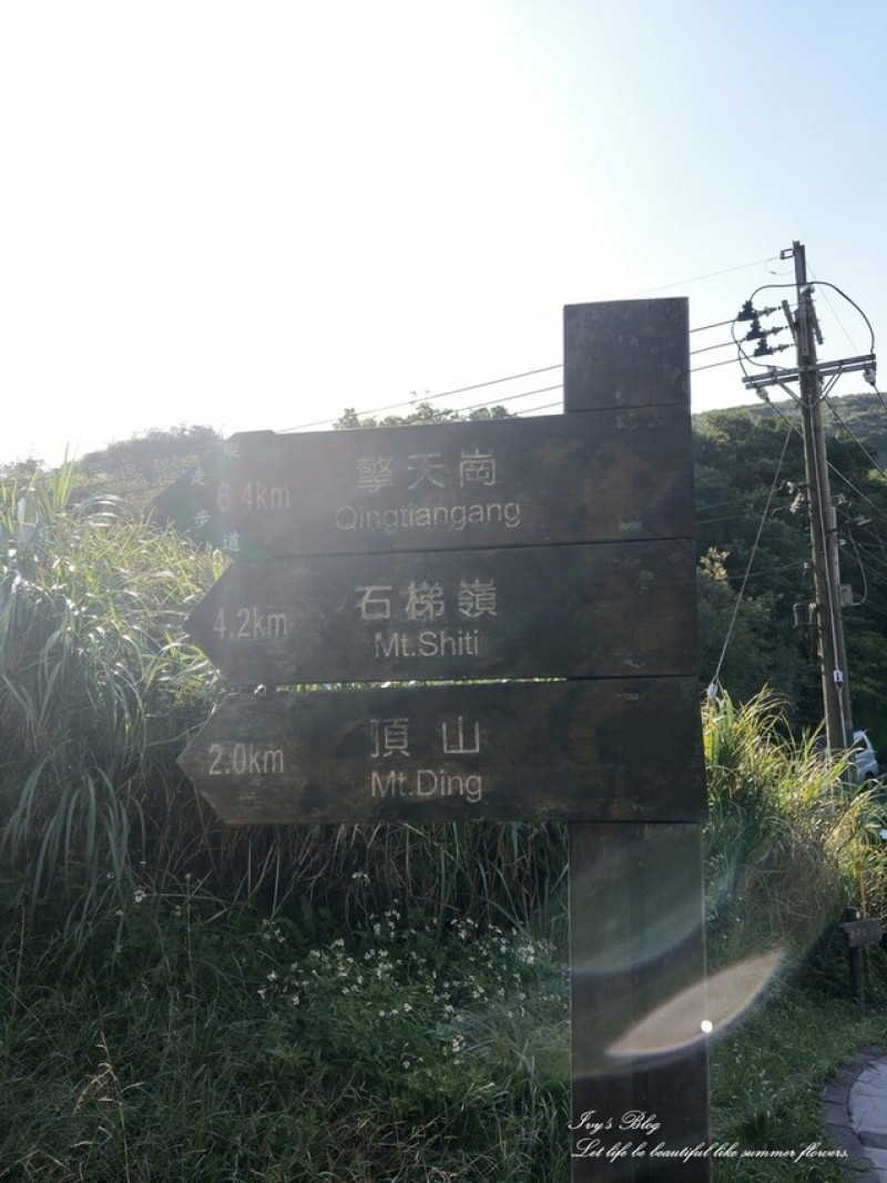 台北//陽明山//登山趣//風擎步道(風櫃嘴到擎天崗)