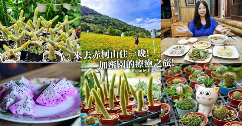 【花蓮景點】來去赤柯山住一晚!加蜜園無菜單金針花料理、住宿推薦!