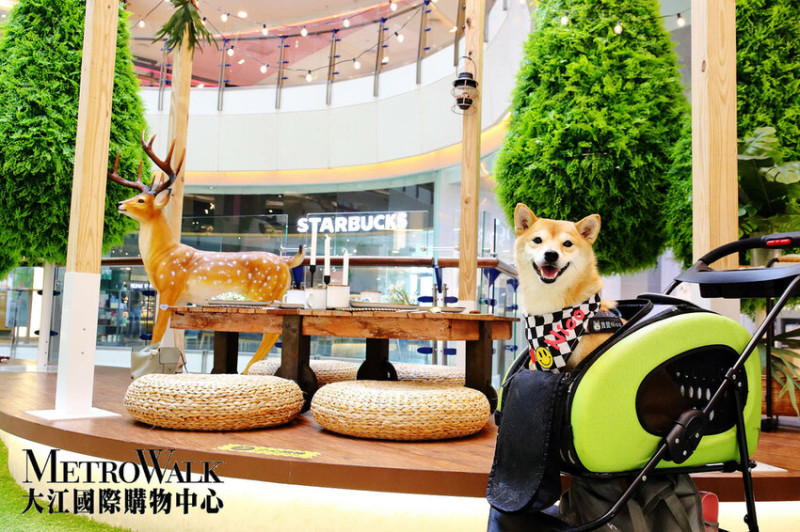 桃園也有森林秘境？快來中壢大江購物中心吧！