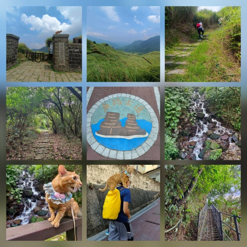 【台北.金山】魚路古道。八煙至金包里城門來回10k。登山口導航綠峰山莊