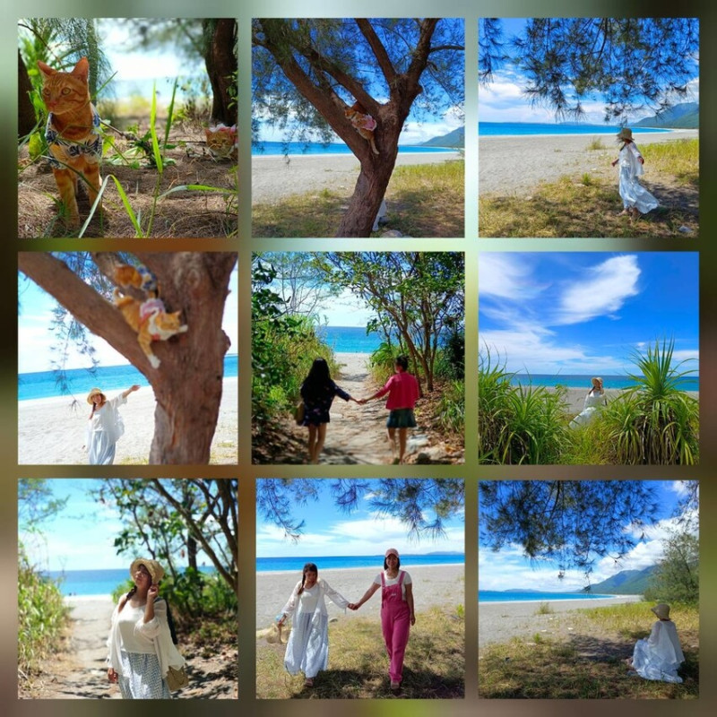 【花蓮.新城】免費寵物景點。曼波海灘散散步。賞超美麗海灣