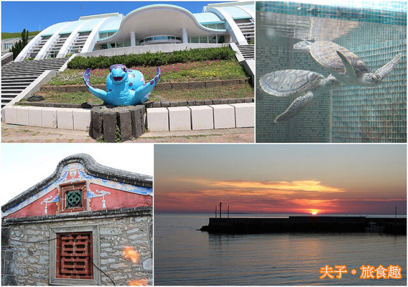 澎湖望安 綠蠵龜觀光保育中心 X 花宅聚落