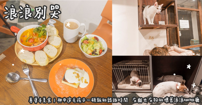 善導寺美食。浪浪別哭  與中途毛孩子一頓飯的認識時間  有貓也有狗的懷舊浪浪咖啡廳