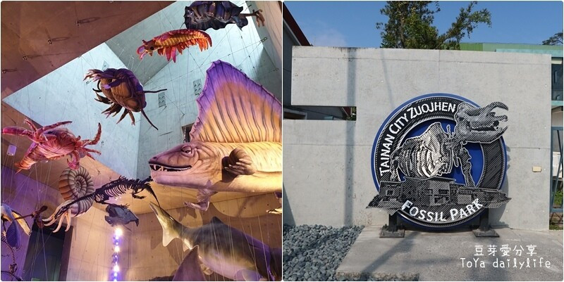 臺南左鎮化石園區｜原來有這麼好拍好玩又知性的博物館 🌱豆芽愛玩在台南