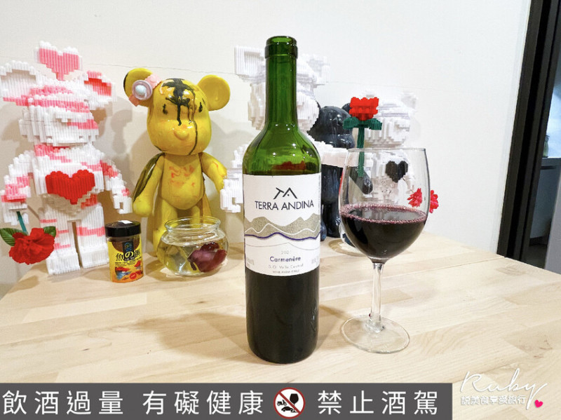 【Ruby 品酒開箱】智利德安媞娜酒莊-安地斯系列-卡門妮爾，100% Carmenere卡門妮爾，果香甜美、口感滑順｜ Ruby說美食享受旅行(@tour_ruby530)