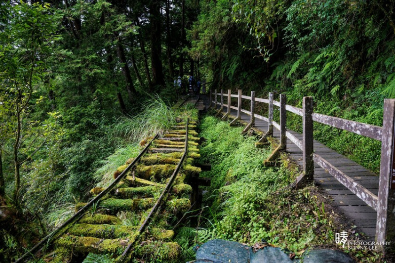 【宜蘭太平山 | 見晴懷古步道】輕鬆走入CNN全球最美的28條小路 雲霧之間的見晴古道