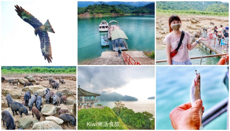 嘉義景點｜曾文水庫搭船大玩山豬島、近距離賞老鷹叼食秀、全台唯一合法曾文水庫釣魚，私房景點另類體驗新玩