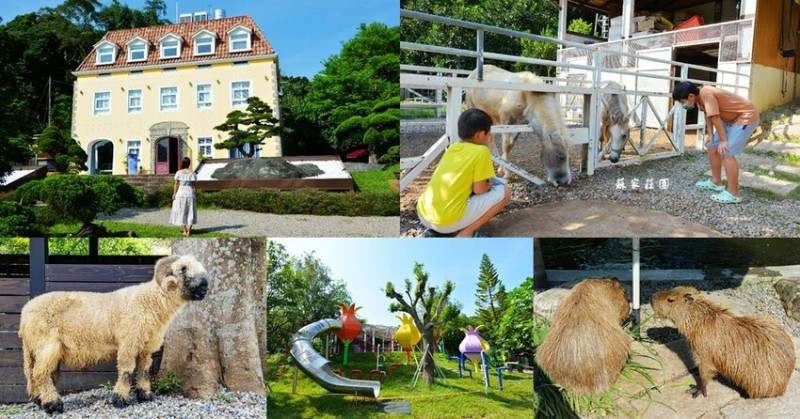 桃園大溪景點 ❙ 蘇家莊園 ❙ 有水豚君、狐獴、笑笑羊的南法莊園 迷你版動物園!