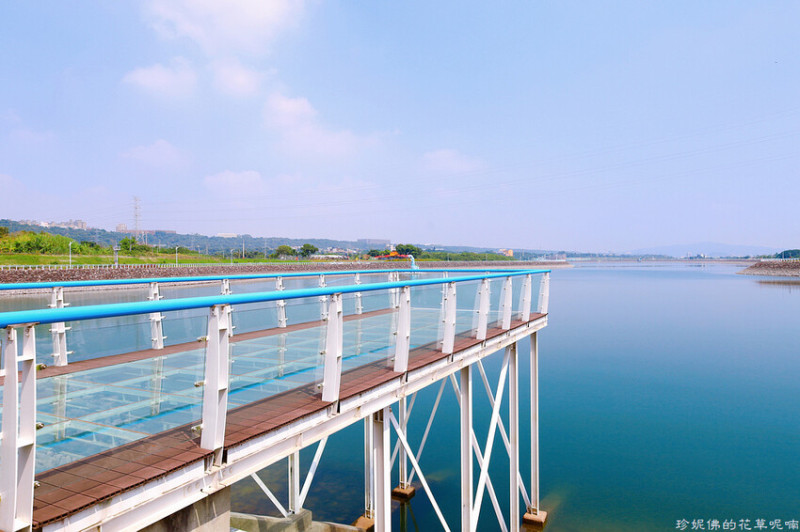 【桃園市大溪區】中庄調整池觀景台透明玻璃棧道｜七張福德宮欣賞地景藝術節作品