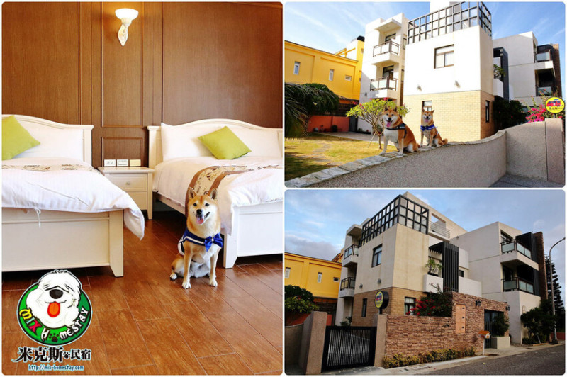 澎湖精選質感系寵物友善民宿，帶毛小孩奔馳大草皮，免收寵物清潔費，每間都有陽台，毛家長必收！