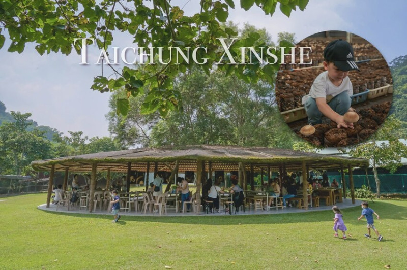 台中親子景點》採香菇＋採雞蛋＋現場做茶碗蒸！最療癒的DIY生態循環再生體驗_新社百菇莊