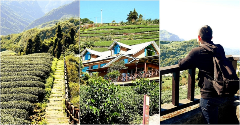 嘉義竹崎茶園步道，一秒置身在翠綠茶園之間，步道筆直好踏行，登上高處能將景色盡收眼底，是低調的秘境-頂石棹「霧之步道」