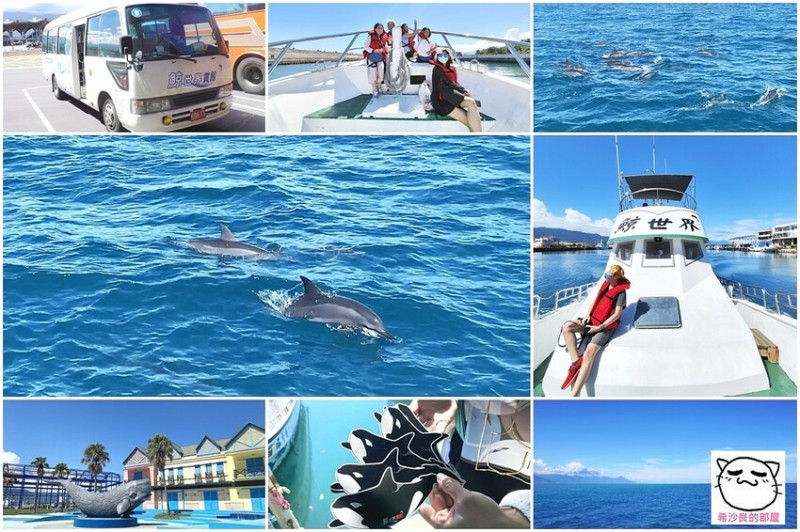 花蓮旅遊。令人亢奮不已的專業出海賞鯨豚生態之旅──鯨世界賞鯨