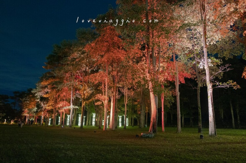 光祭藝術作品點亮大地 白馬草原拍出粉紅色浪漫的唯美照