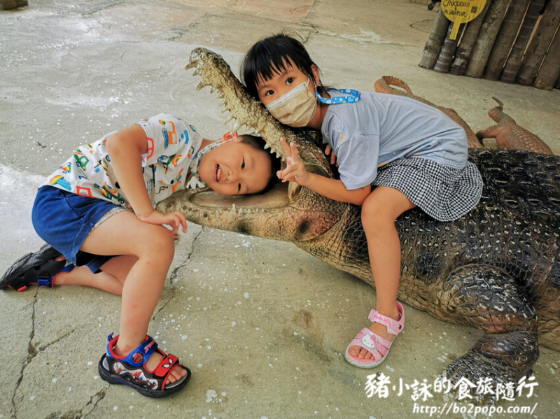 屏東。潮州》不一樣鱷魚生態農場。觀賞的動物有點不一樣