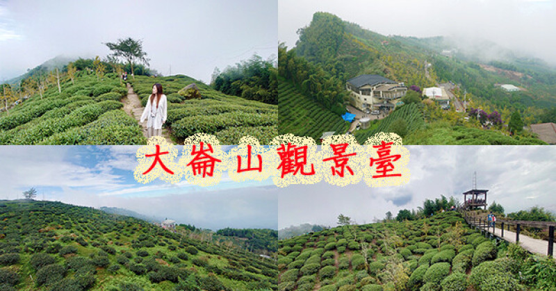 【南投景點】大崙山觀景臺(寵物友善景點)，美麗茶園風光、青山翠巒雲霧飄緲，季節對了還能看到金黃色銀杏林，山上的雲霧變化莫測，帶有一抹神秘的感覺。南投親子旅遊景點