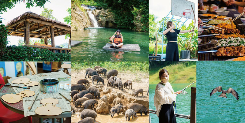 嘉義兩日遊景點推薦｜金牌農村『茶山』部落，深入部落體驗豐富獨特人文，大埔和平社區製琴音樂薰陶之旅，徜徉曾文水庫，勇闖山豬島，賞黑鳶