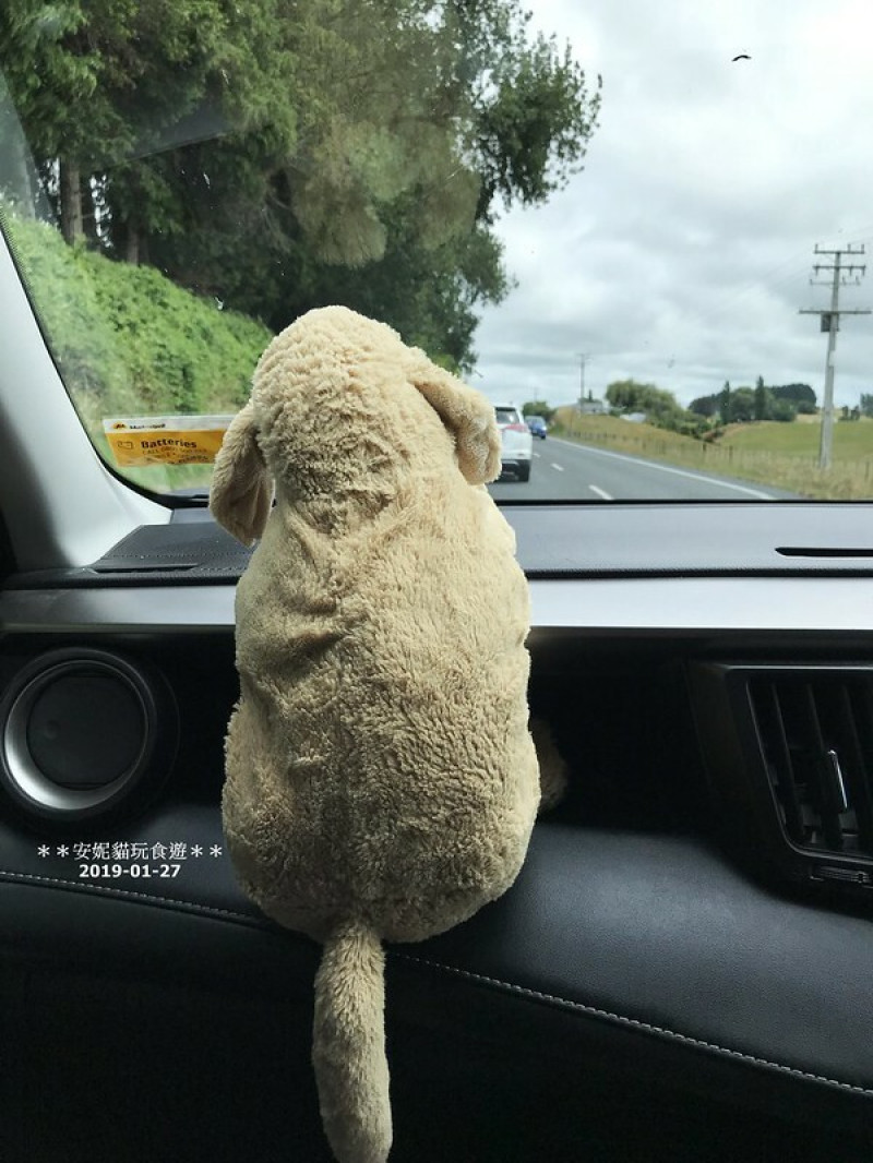 【2019紐西蘭。春遊南北島】來去懷托摩露營區住一晚．Waitomo Top 10 Holiday Park