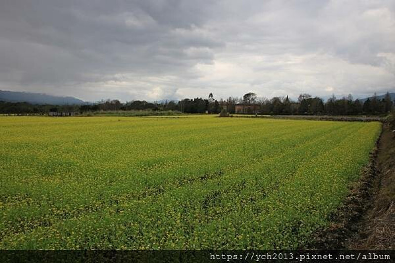 花蓮鳳林／花東飛行場看飛機