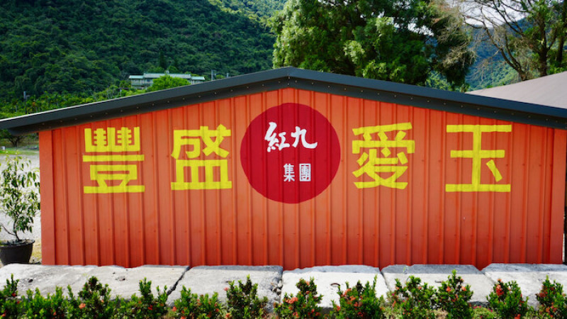 [宜蘭景點] 豐盛愛玉｜宜蘭免費景點！隱藏版網美打卡點，全台最大愛玉田！