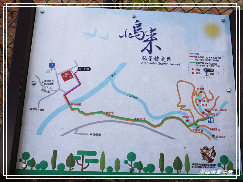 義興吊橋-桃園復興/漫步台版小嵐山~置身塞德克巴萊彩虹橋