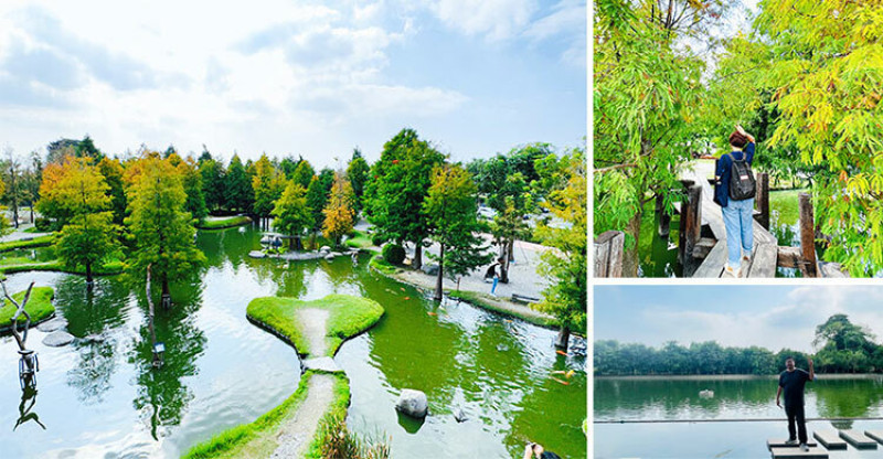 雲林落羽松免費秘境｜澄霖沉香味道森林館「唯美湖畔愛心小島」宛如台版兼六園！隱藏版水之教堂夜晚點燈超浪漫