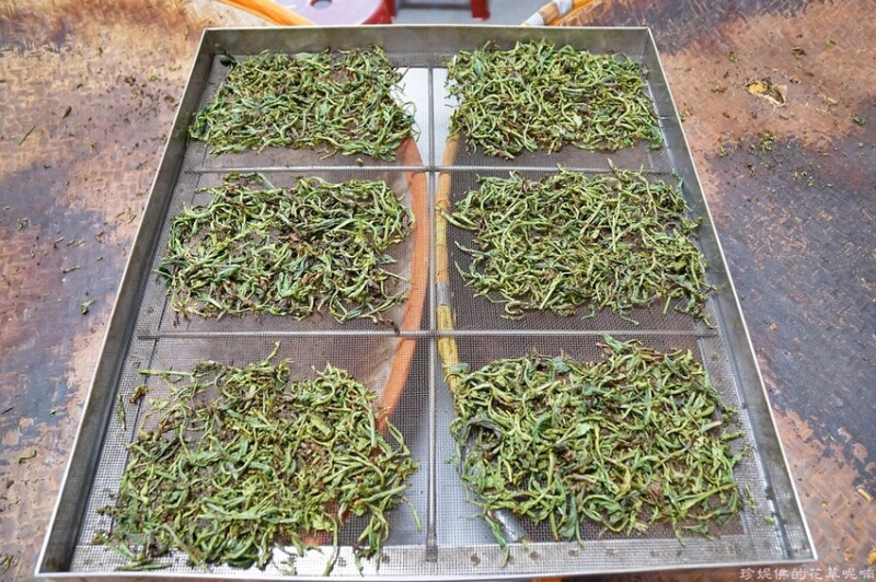 【南投縣魚池鄉】Hugosum和菓森林｜紅茶觀光茶廠｜DIY課程｜茶葉販售｜下午茶