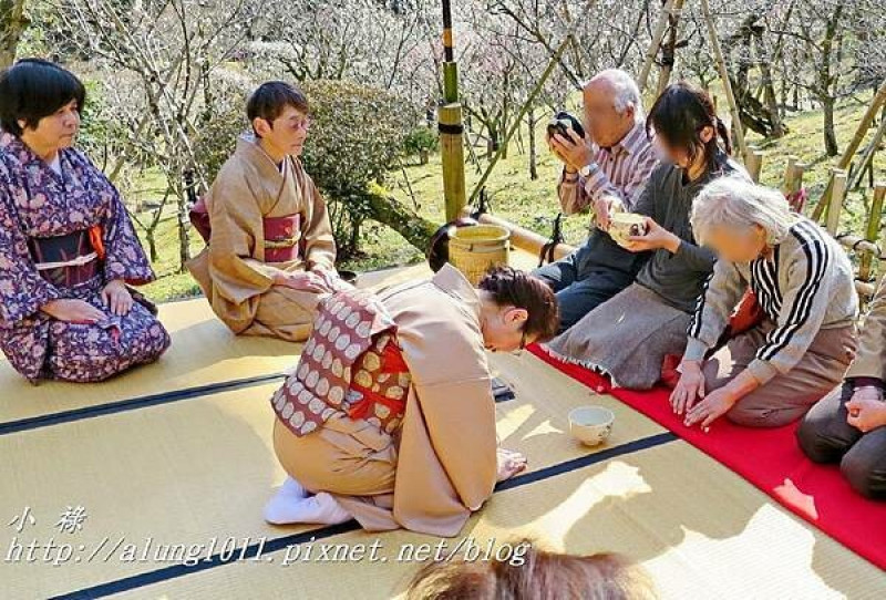 千 葉 / 成田山公園梅祭 / 野点品茶詩情畫意~