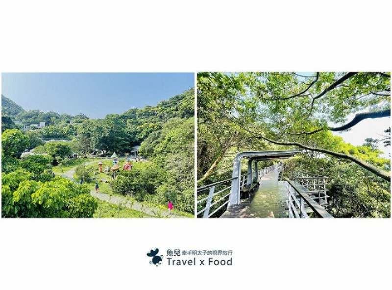 全長八百公尺，腳下踩著林口台地，青蔥翠綠的低海拔美景，無障礙設施老少咸宜，觀音山林梢步道 @魚兒 x 牽手明太子的「視」界旅行