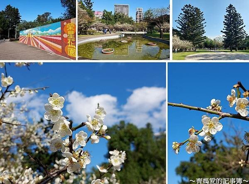 捷運中山國中 / 行天宮．榮星花園賞梅