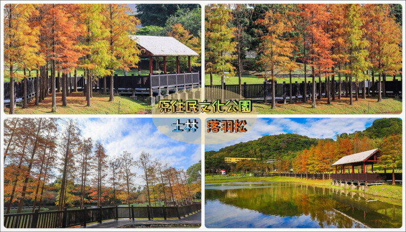 【台北景點】2023原住民文化主題公園‧市區賞落羽松美景│台北景點│半日遊‧輕旅行│怎麼去交通公車捷運