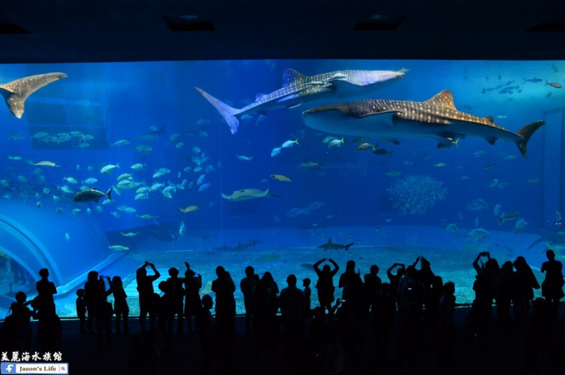 2023年日本沖繩懶人包，住宿、景點、美食一次看個夠