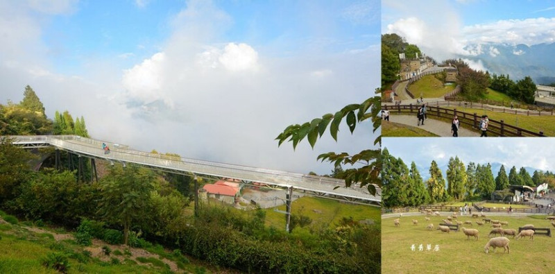 南投景點 ❙ 清境農場青青草原 ❙ 視野遼闊高空觀景步道、清境農場奔羊節!