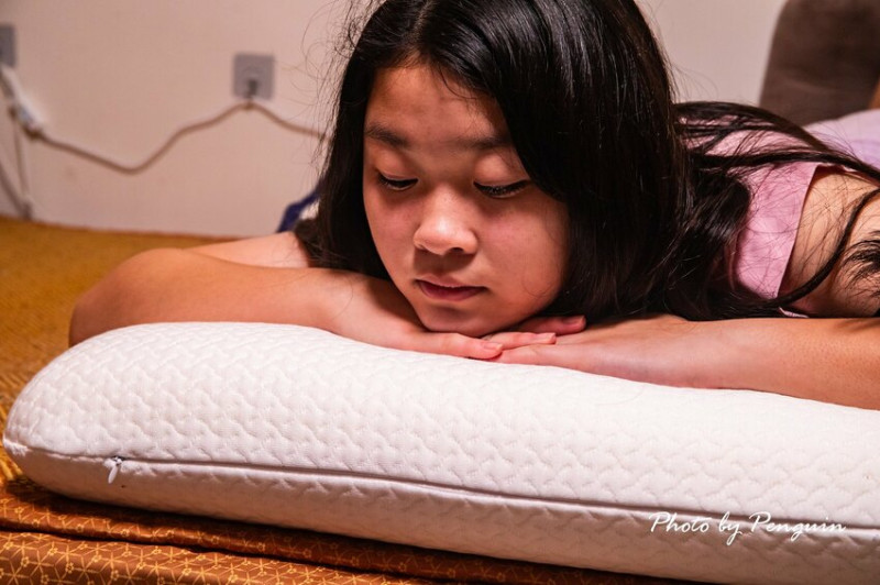 居家好物推薦．自然醒WELLSLEEP太空重力枕．100%台灣製造．涼感降溫材質．享受不悶熱的親膚舒適躺感