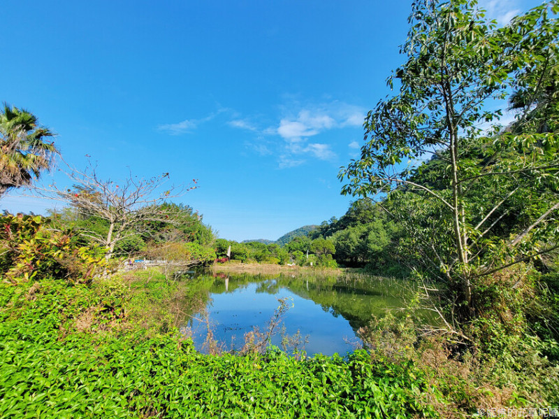 【桃園市大溪區】大漢溪山豬湖生態親水園區｜近月眉人工濕地生態公園｜有停車場