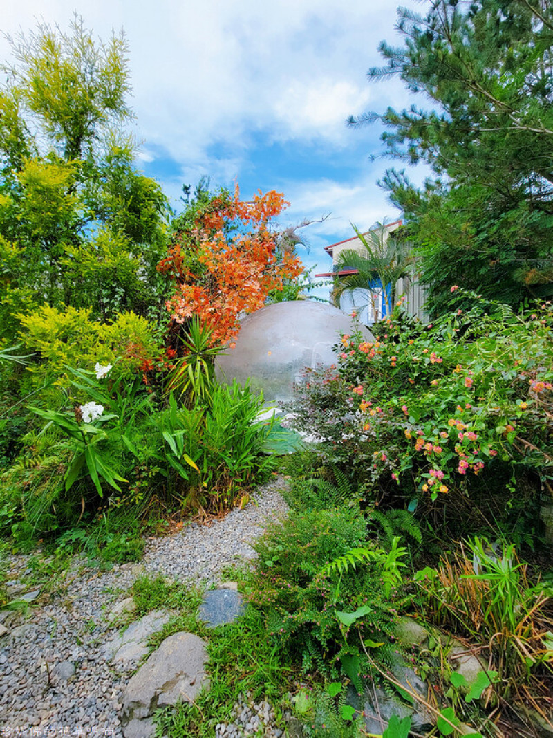 【南投縣埔里鎮】多肉秘境中正店｜體驗有趣的DIY多肉盆栽
