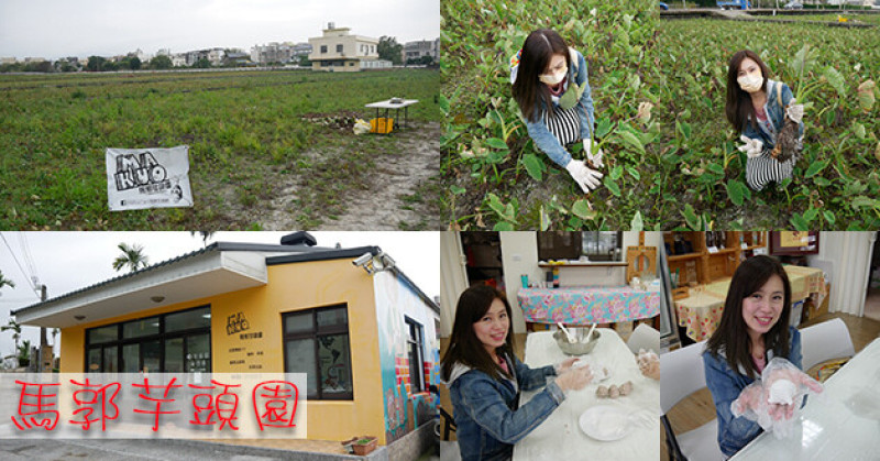 【苗栗田園體驗】馬郭芋頭園(寵物友善)，苗栗公館芋頭產量竟是佔全台第二大產區，不用準備材料就能體驗芋泥球DIY、芋頭大福、芋泥奶酪DIY、拔芋頭體驗!。苗栗田園活動