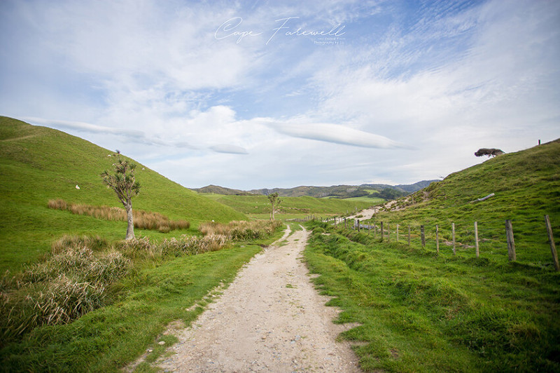 紐西蘭 | 塔斯曼 Tasman | 遇見旅途中的象鼻，踏上南島極北點 | 告別角 Cape Farewell