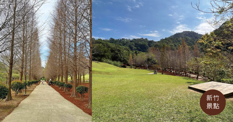 新竹景點｜小森之歌 The Green Symphony 大草原約會、野餐 戶外寵物友善 落羽松大道