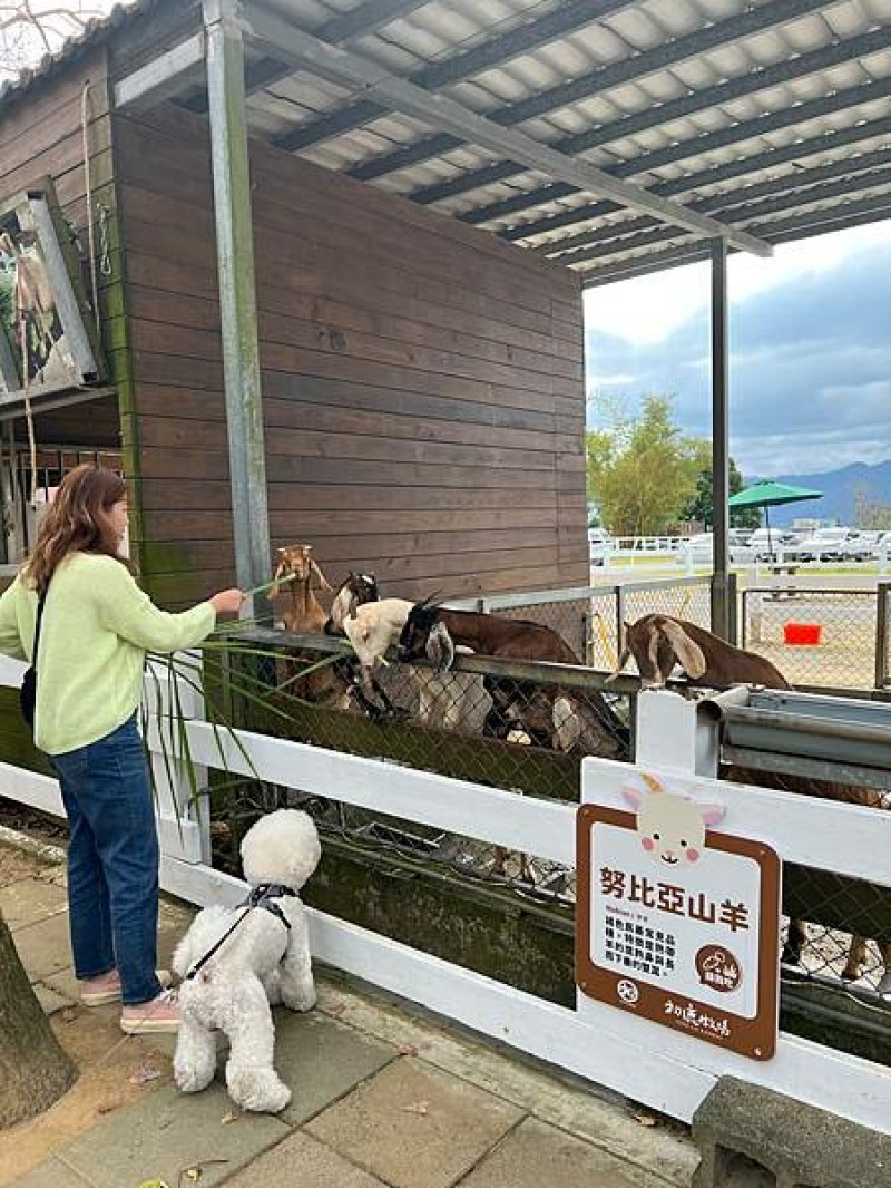 ［台東景點］大人小孩寵物都適合來的牧場｜初鹿牧場