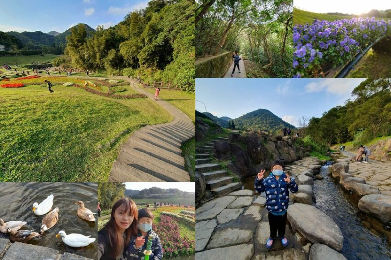 【台北內湖】大溝溪生態治水園區/內湖大溝溪親水步道-浪漫花海/台北秘境/免費親子好去處