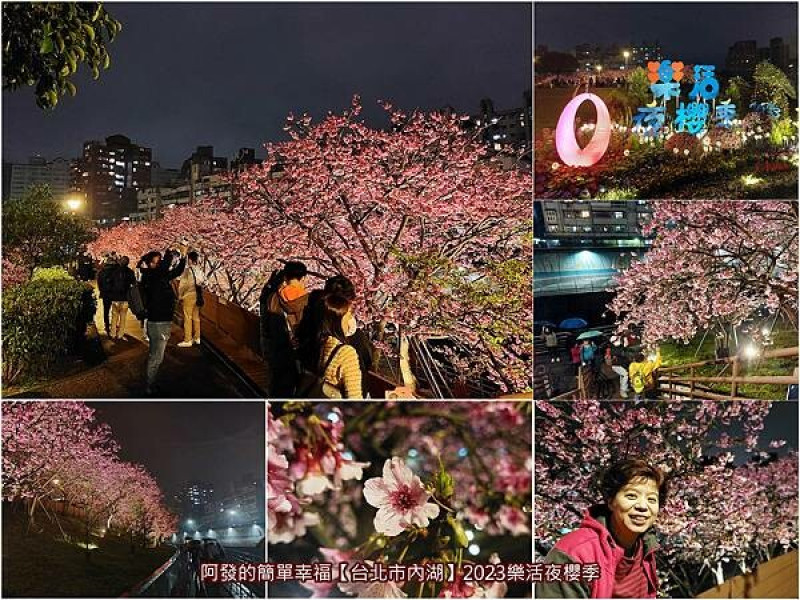 ﹝台北市內湖﹞樂活公園　下班後搭捷運就可到的夜間賞櫻勝地，2023樂活夜櫻季開跑了～ 　／夜間賞櫻有股特別的浪漫Fu／日夜皆美的市區櫻花公園／台北櫻花／東湖櫻花