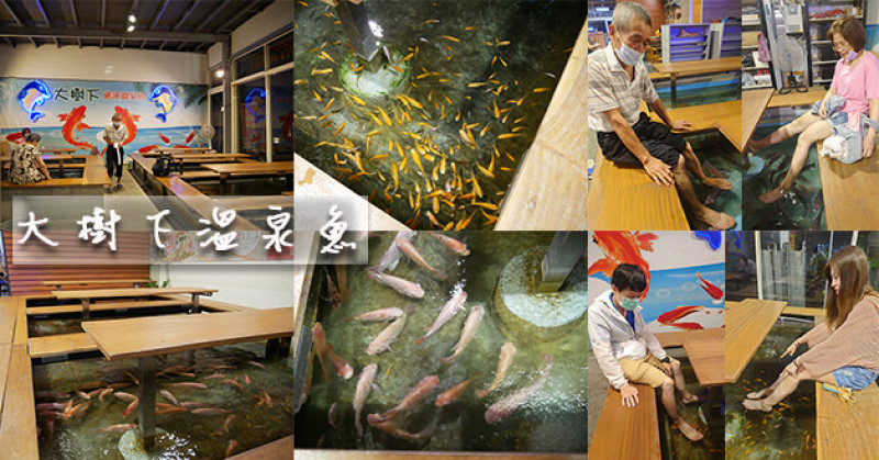 【宜蘭景點】大樹下溫泉魚(寵物友善景點)，小魚兒愛腳背、大魚愛腳底、愛腳側，想要享受快感專挑大魚，大魚的力道吻起來很有感覺，讓你觸電一整晚喔!。宜蘭親子旅遊景點