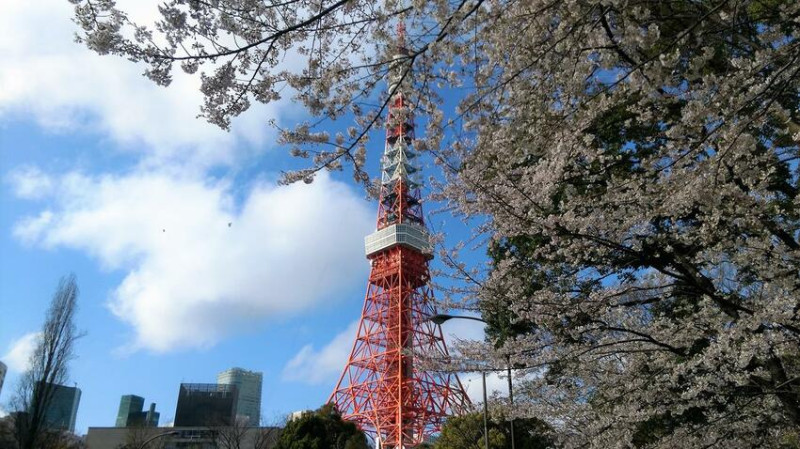 千鳥淵、飯田橋外濠公園、目黑川、還有……東京賞櫻景點9選