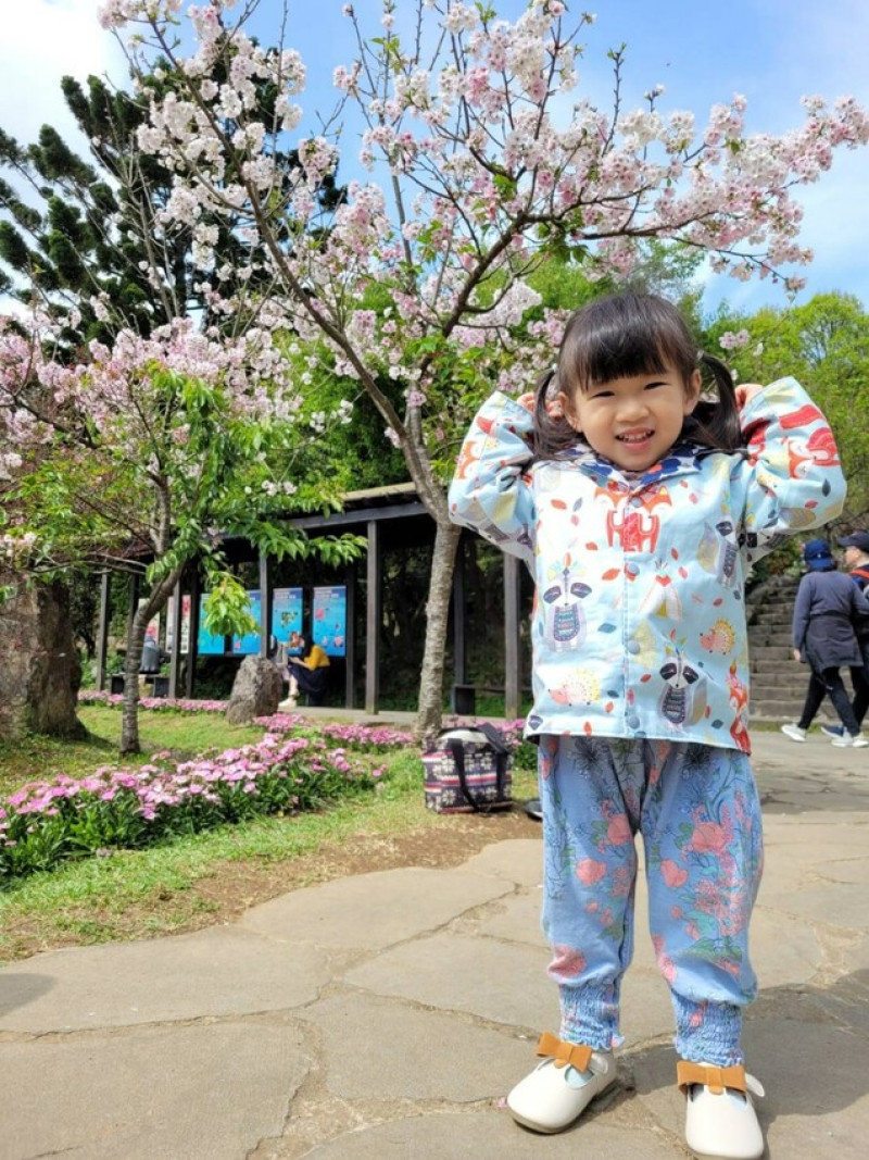 台北景點｜2023台北花節 陽明山花季 陽明公園櫻花、杜鵑花齊開美景 - 奇奇一起玩樂趣