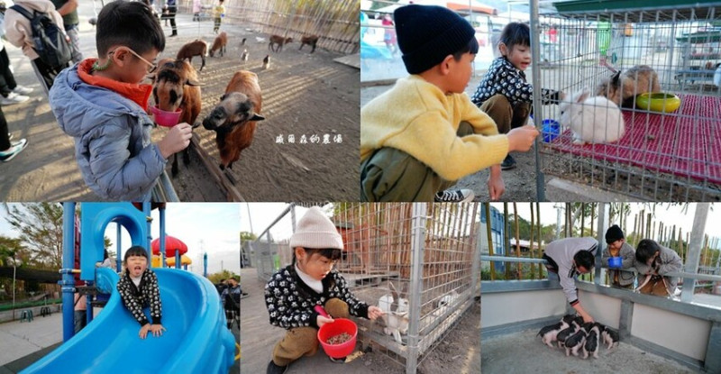 台中親子景點 ❙ 威爾森的農場 ❙ 門票50元動物餵到飽、可以兌換小點心 后豐鐵馬道旁!